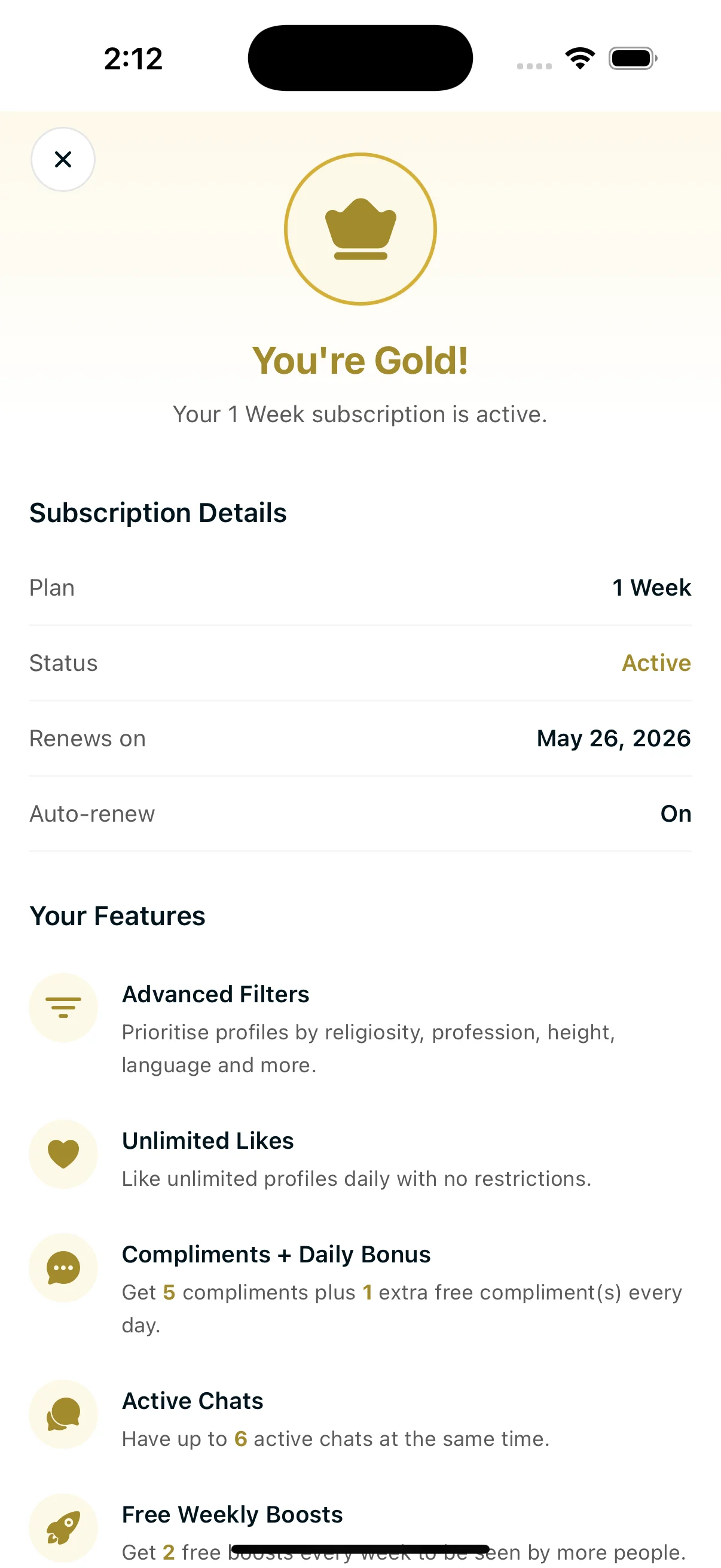 Gold feature
